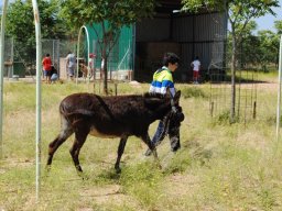 IMG-20180619-WA0008